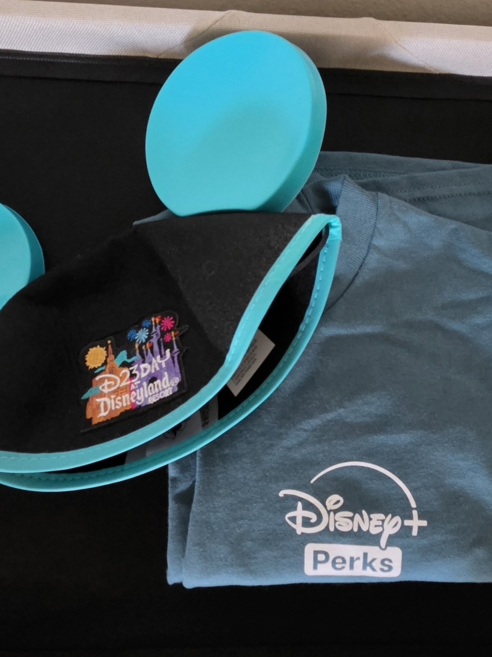 Disney D23 Collectible Hat and Disney+ T-shirt